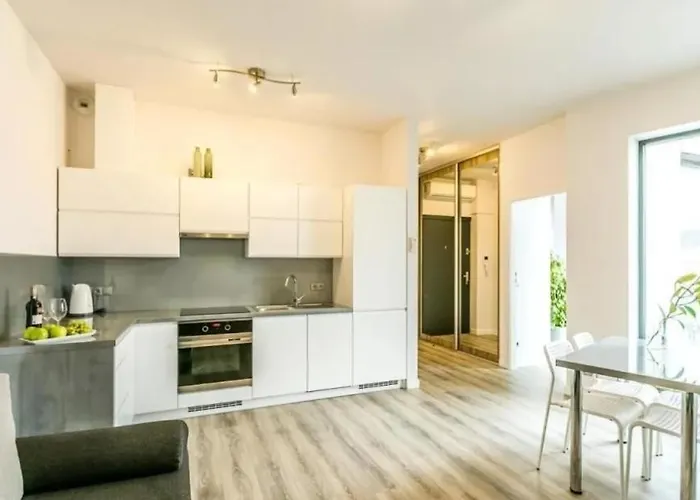 Apartamento Gris Poznań